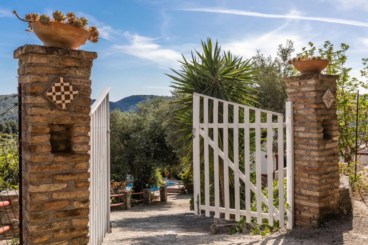Villa Agia Marina Skopelos Town Bagian luar foto